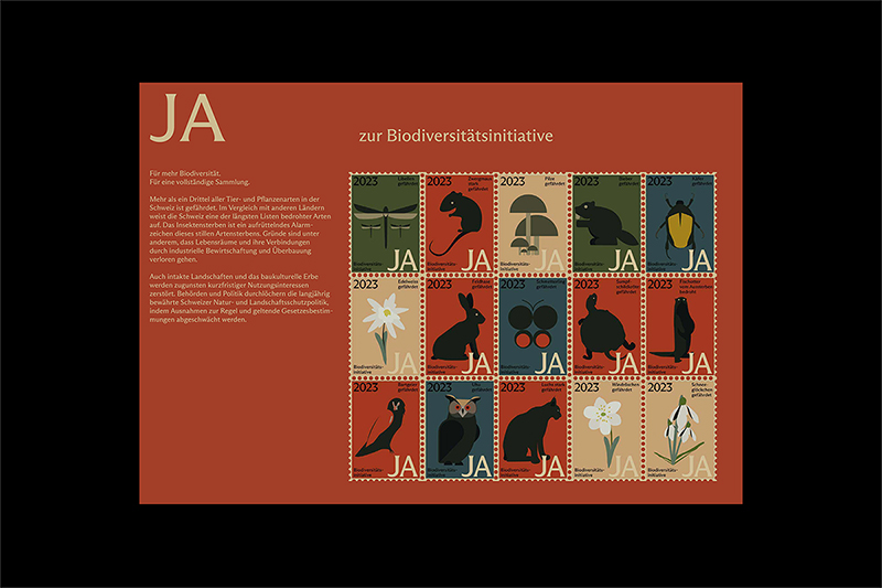 Biodiversität Projektbild 2