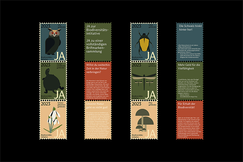 Biodiversität Projektbild 4